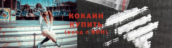 дживик Арсеньев