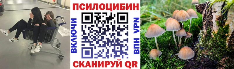Галлюциногенные грибы MAGIC MUSHROOMS  Бабаево 